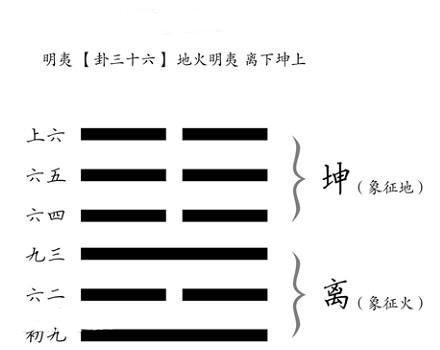 看奥运学周易遇到挫折怎么办明夷卦教你走出困境