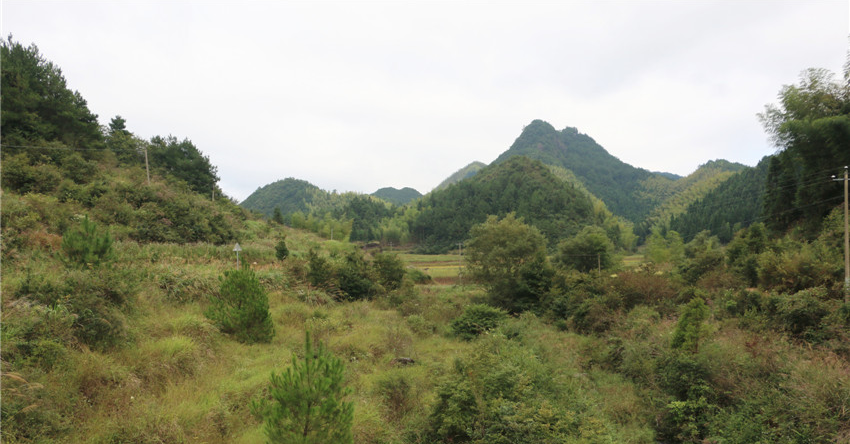 走进洞宫山