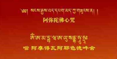 阿弥陀佛心咒则分唐密传承和藏密传承两系,唐密的有观自在王如来陀罗