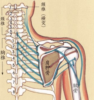 拜佛与医学 第八讲